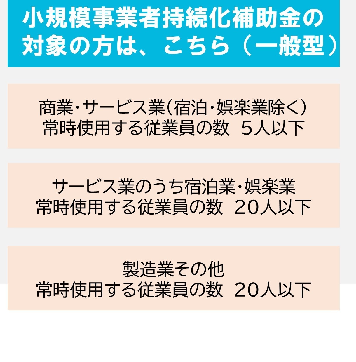 小規模事業者 持続化補助金事業計画書  添削します 大切な補助金だからこそ 国家資格保有者がサポート イメージ7