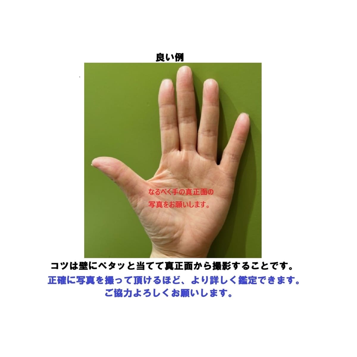 生き辛さの鎧を外す｢心のお守り｣手相鑑定しています ｢私が我慢すればいい｣と頑張り続け自分を見失った40代女性へ イメージ3