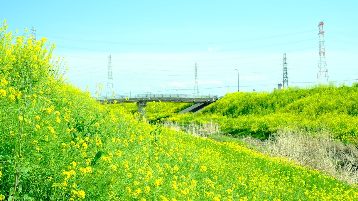 風景写真などをメインに撮っています 綺麗を切り抜いて撮ってるつもりです。 イメージ3