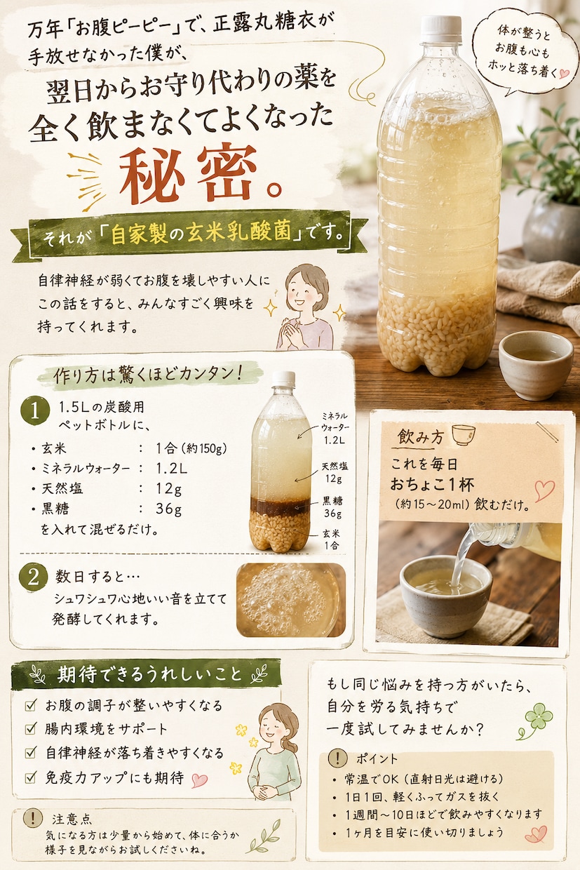 正露丸15錠の僕が翌日手放した！玄米乳酸菌講座ます 毎日１５錠飲んでいた薬を卒業！一番失敗しない黄金レシピを伝授 イメージ2