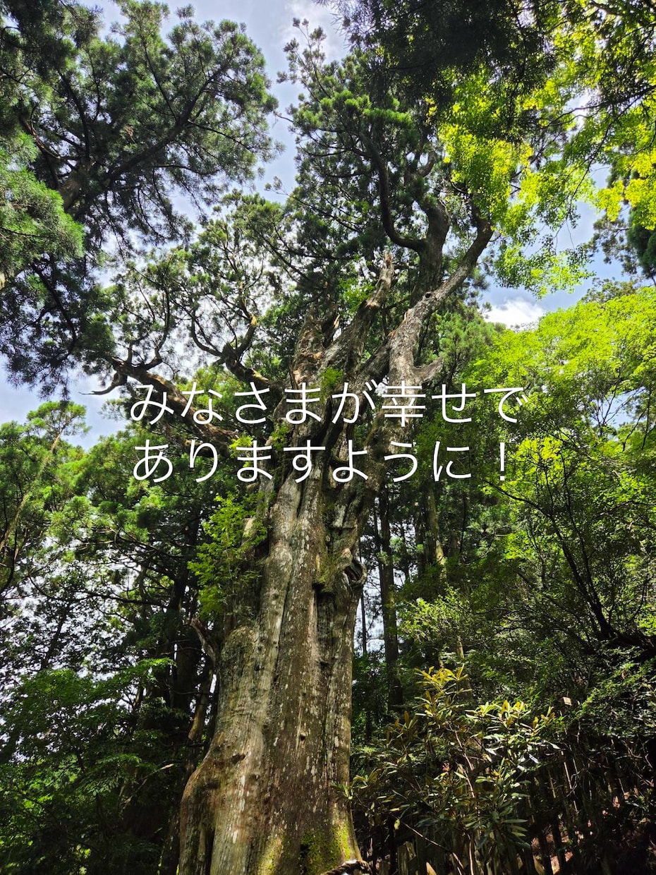 初回お試し　愛やお金の悩みに寄り添い好転へ導きます 自己破産や離婚から再婚へ！運命を好転へ導く鑑定！ イメージ2