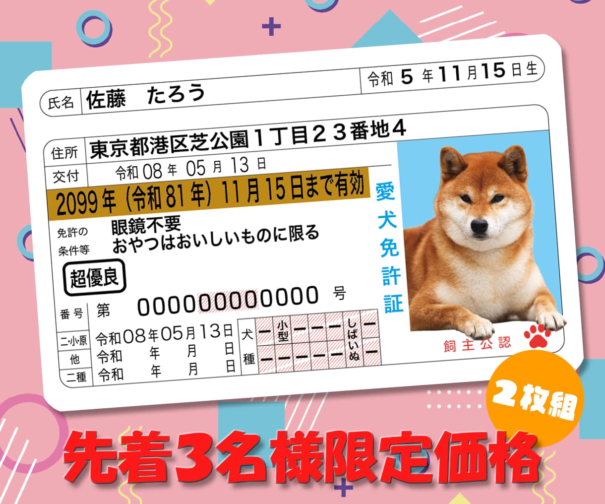 本物そっくり！ペットのオリジナル免許証を作ります 嬉しい2枚セット！丈夫なプラスチック製オリジナルペット免許証 イメージ1