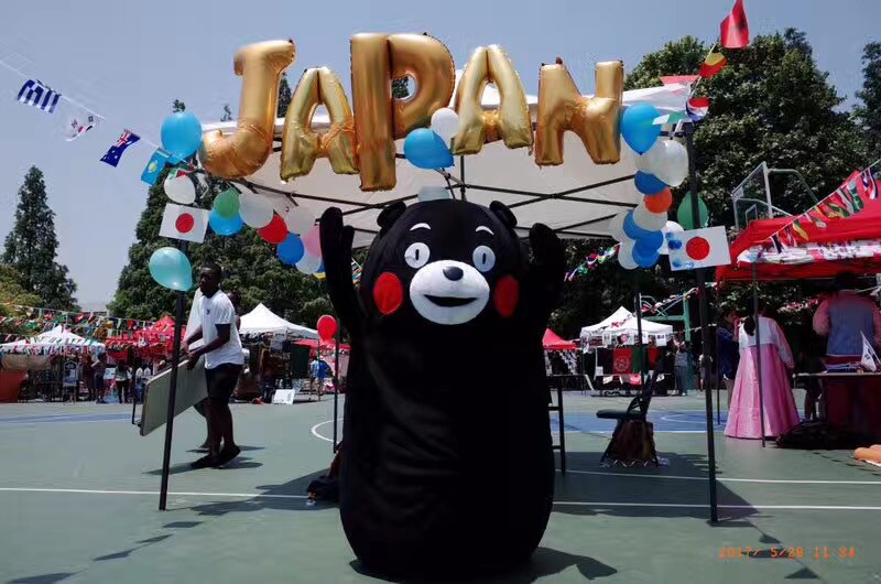 YouTubeやBilibili動画に字幕付けます ✩日本語・中国語字幕(Premiere pro使用) イメージ3