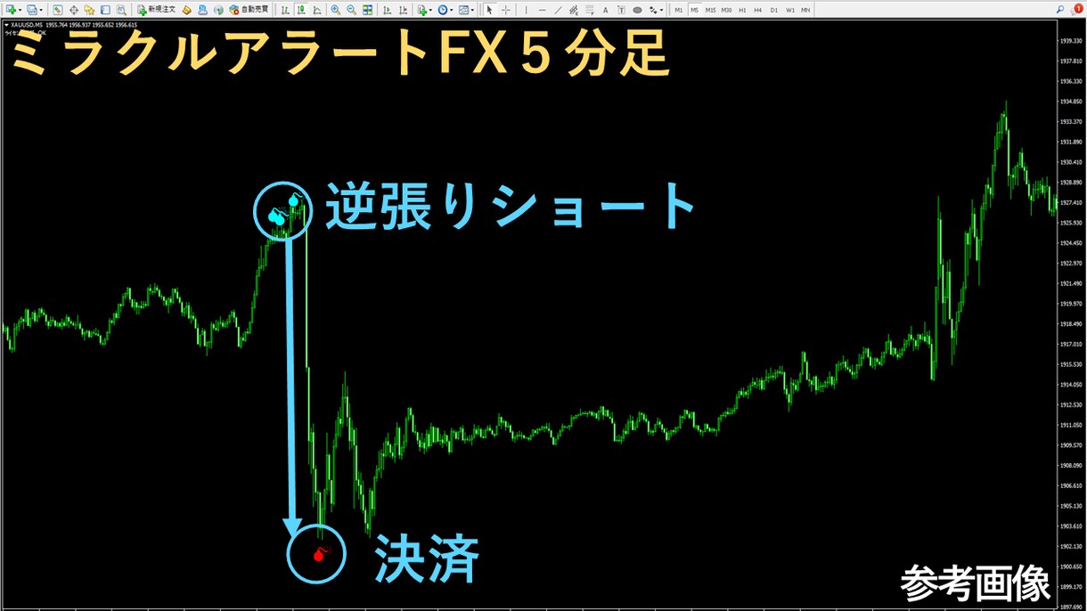 専業がガッツリ狙う無裁量プロ専用ツール提供します ５分足スイング手法とデイトレードの鉄板スキル相場観を習得へ イメージ10