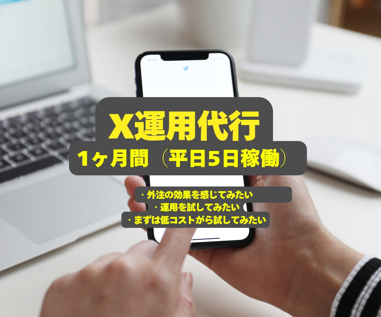 Xの運用代行を致します 【フォロー・いいね】を、50件/1日致します イメージ1
