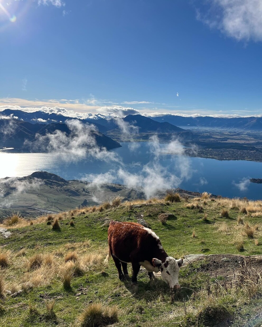 NZ・UK！ワーホリの相談・準備サポートします 現在ワーホリ中の私が、ワーホリの不安・疑問を一緒に解消します イメージ6