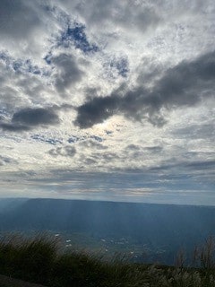 OSHO禅タロットからメッセージをお届けします 大切な自分のことをもっとよく知りたいと思いませんか？ イメージ3