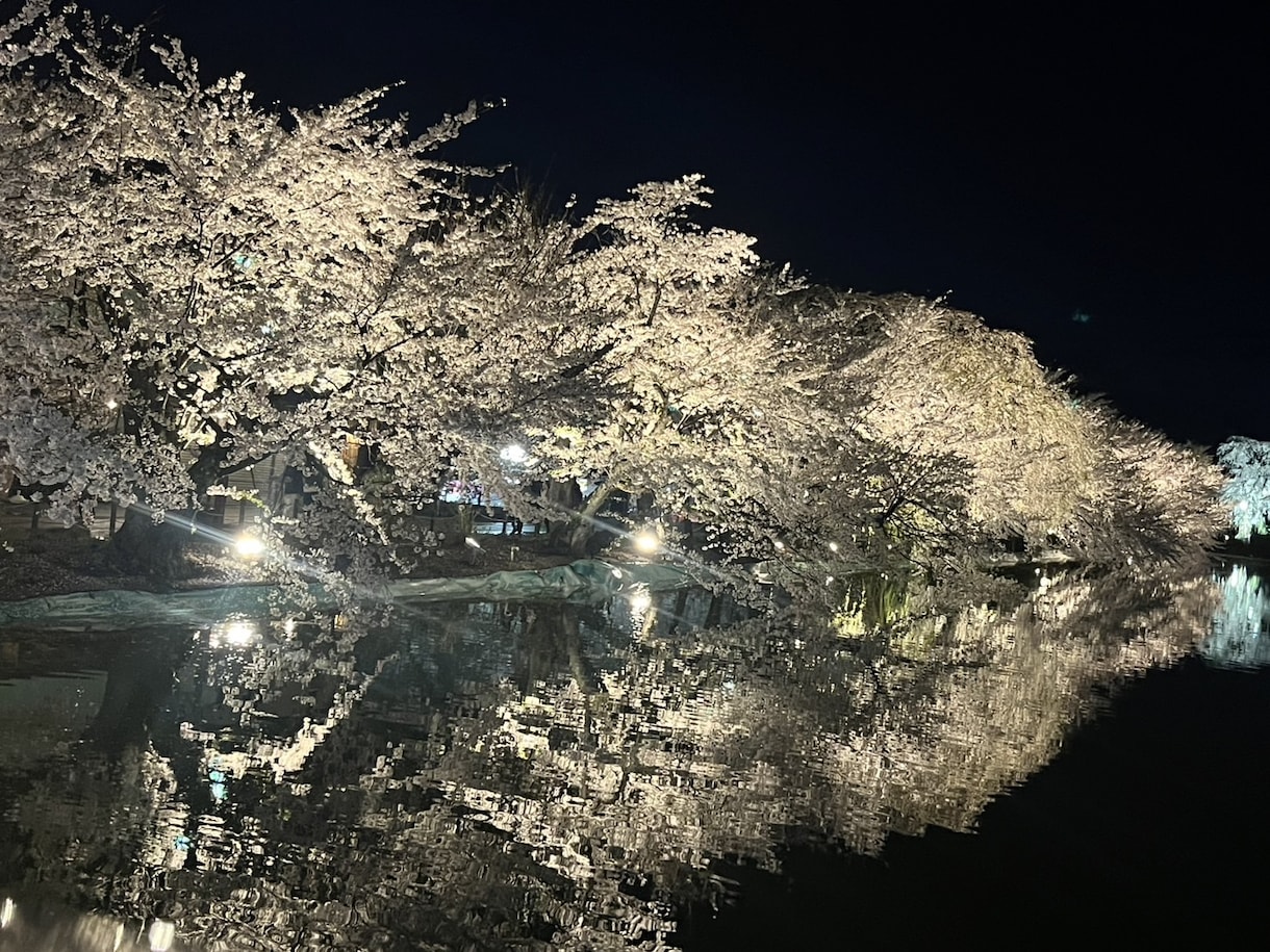 お子さんの大学受験の悩みに寄り添います ズバリ聞かせてください、お子様の悩み解決します イメージ1