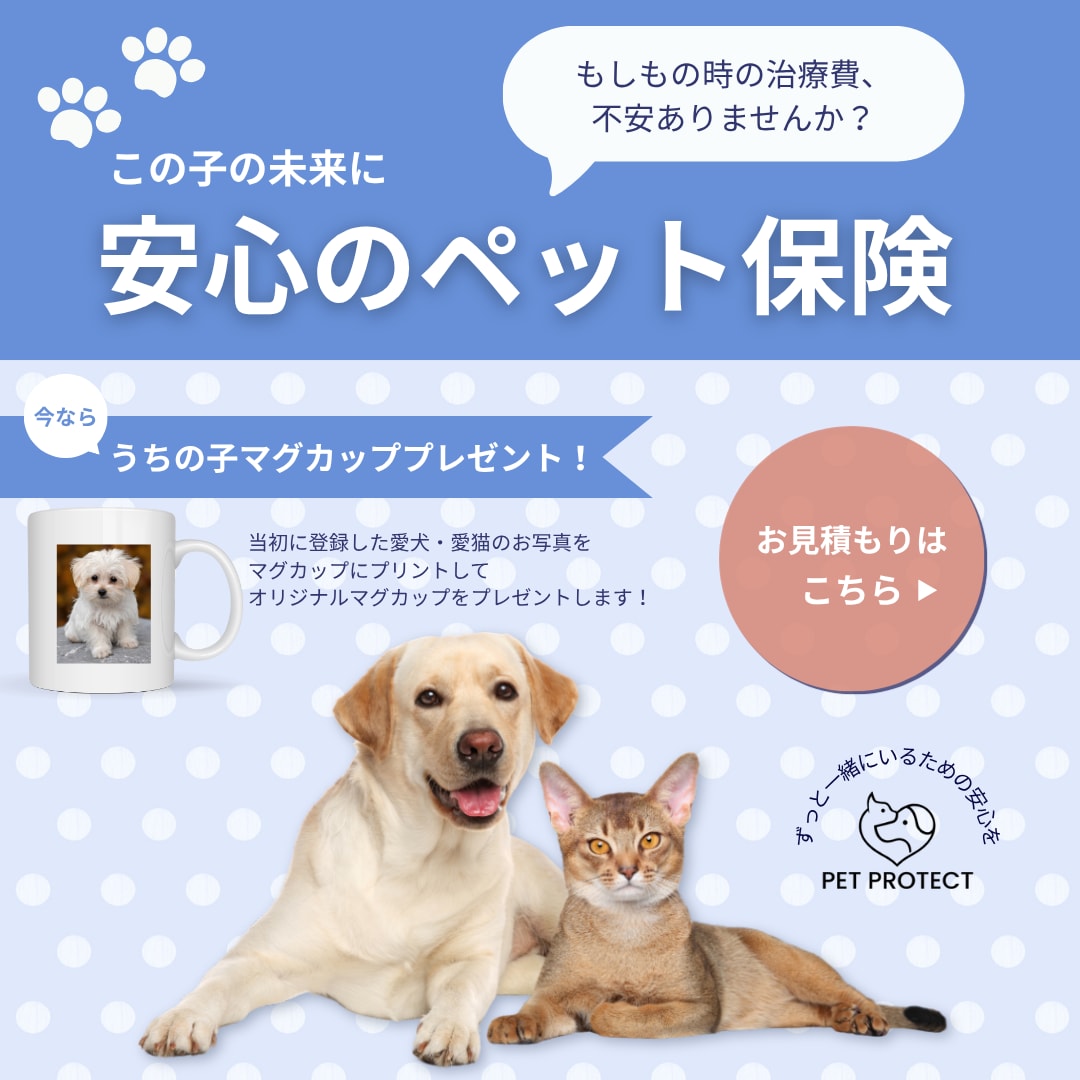 クリック重視★バナー、SNS画像デザイン制作します 初めてのデザイン依頼も安心｜女性向けバナー｜修正無制限 イメージ7