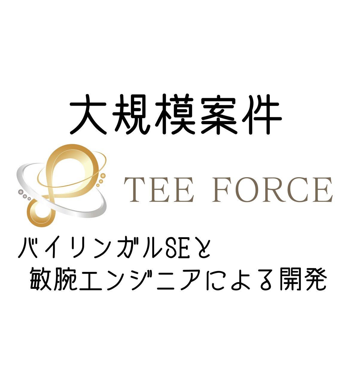 大規模のシステム開発や保守運用を行います ★コスト以上のハイエンドなシステムが貴方の会社を支えます！ イメージ1