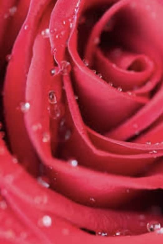 大好きなのに何故か上手くいかない！その謎紐解きます 宿曜は相性占いが得意♡相手の好みや本質を知る事でラブラブに イメージ2