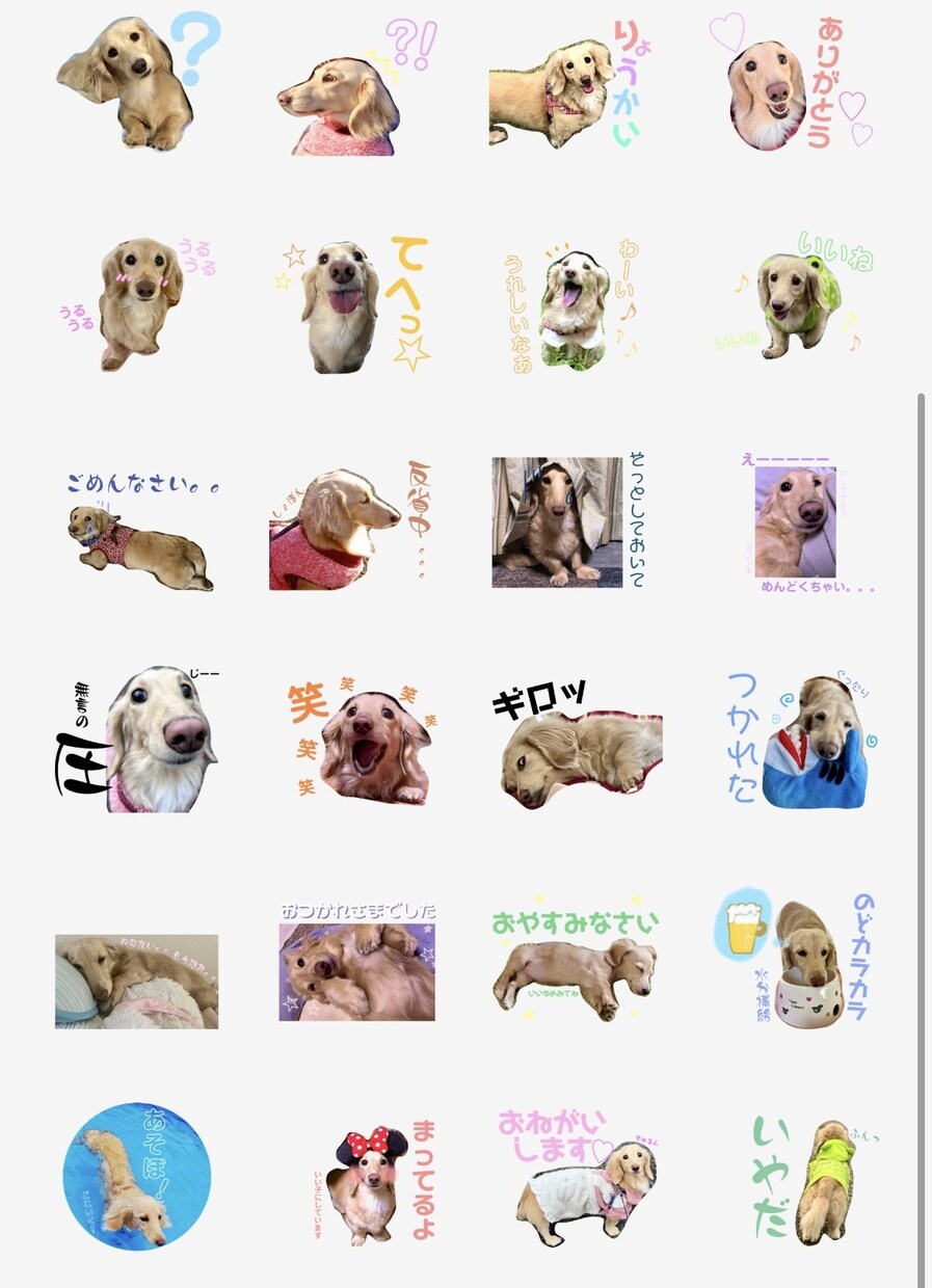 LINEスタンプ作成します 愛犬や愛猫、お子さん等、お写真を使用したLINEスタンプ⭐︎ イメージ3
