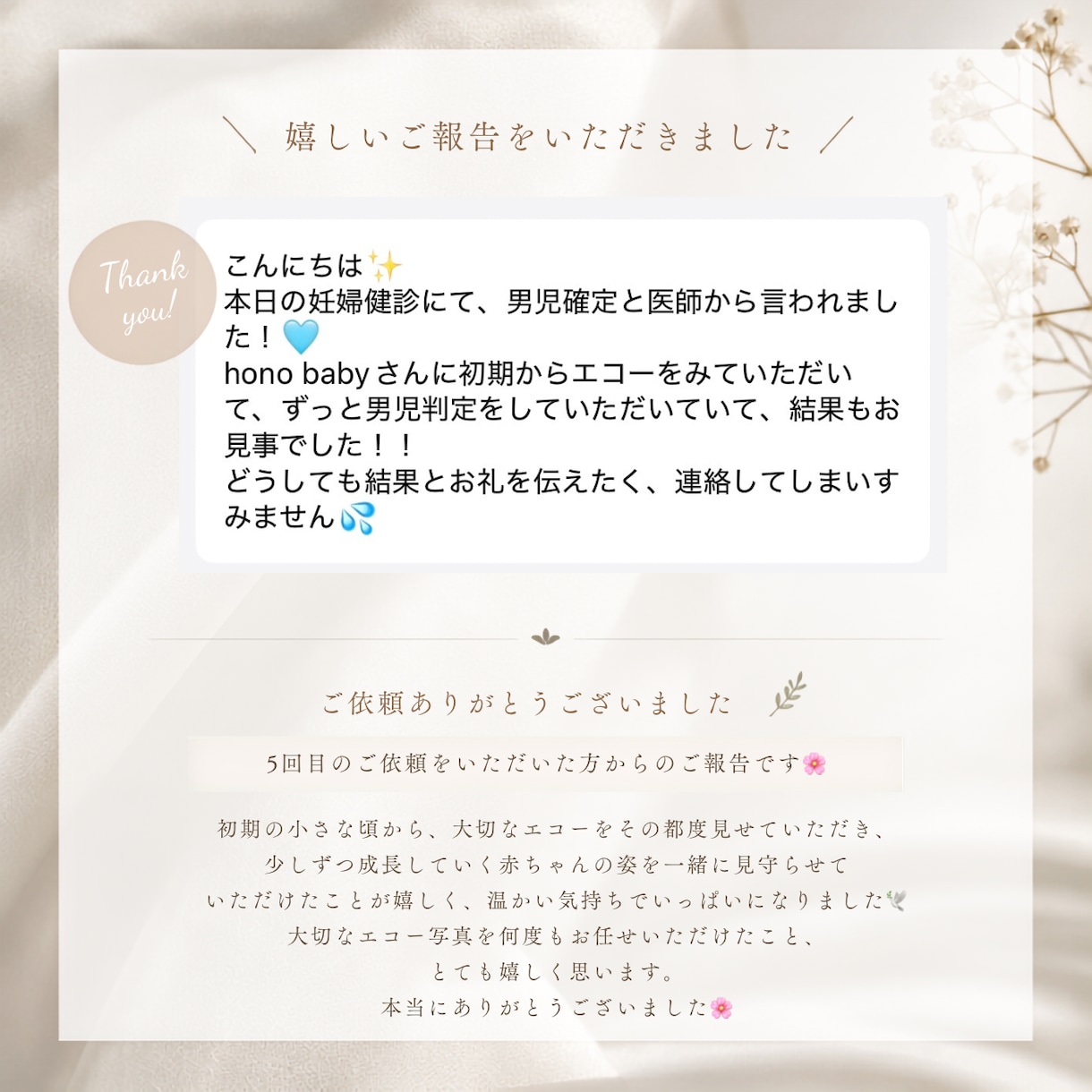 詳細版★即納！妊娠初期、エコー写真で性別予測します 6週目〜OK◎赤ちゃんの性別をベビーナブ、外性器で見ます イメージ4
