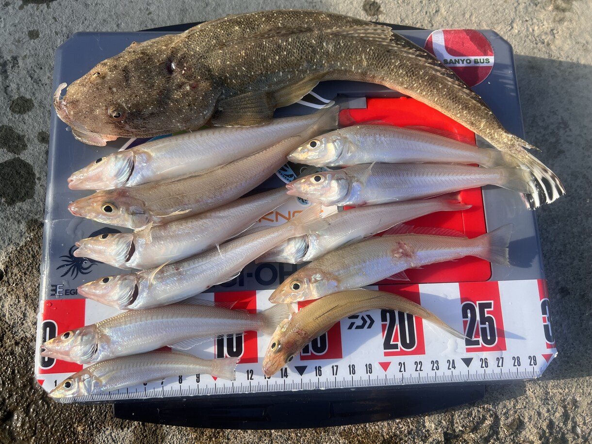 完全初心者向け、釣りの楽しさ教えます 釣り歴20年の私が釣りの全てを伝授いたします！ イメージ1