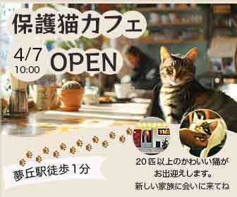 目に止まる！手も止まる！売れる画像をお作りします SNS・サムネイル/各種バナー/商品画像/Kindle表紙等 イメージ5