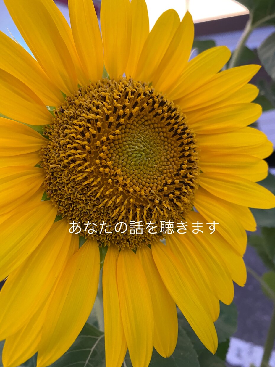 気晴らしにいかがですか？あなたの話を聞きます 悩み事、愚痴、子育てなど身近な人には言いづらい事、聴きます。 イメージ1