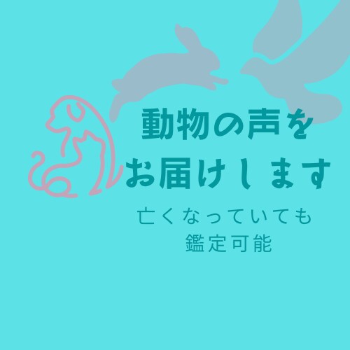 ペットの気持ちをお伝えします 動物が飼い主さんの事をどう思っているかお伝えします イメージ1