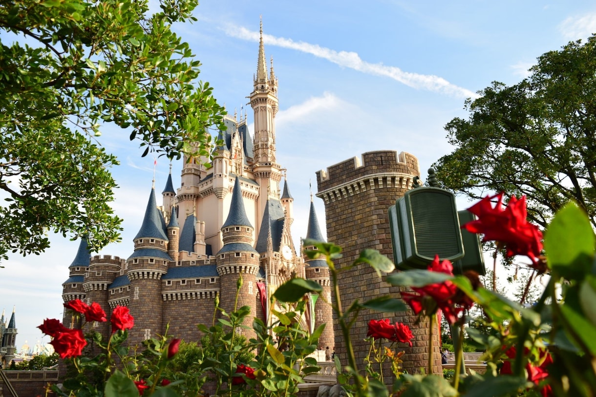 ディズニーリゾートへの旅行プランの相談にのります あなただけの楽しみ方を見つけよう イメージ4