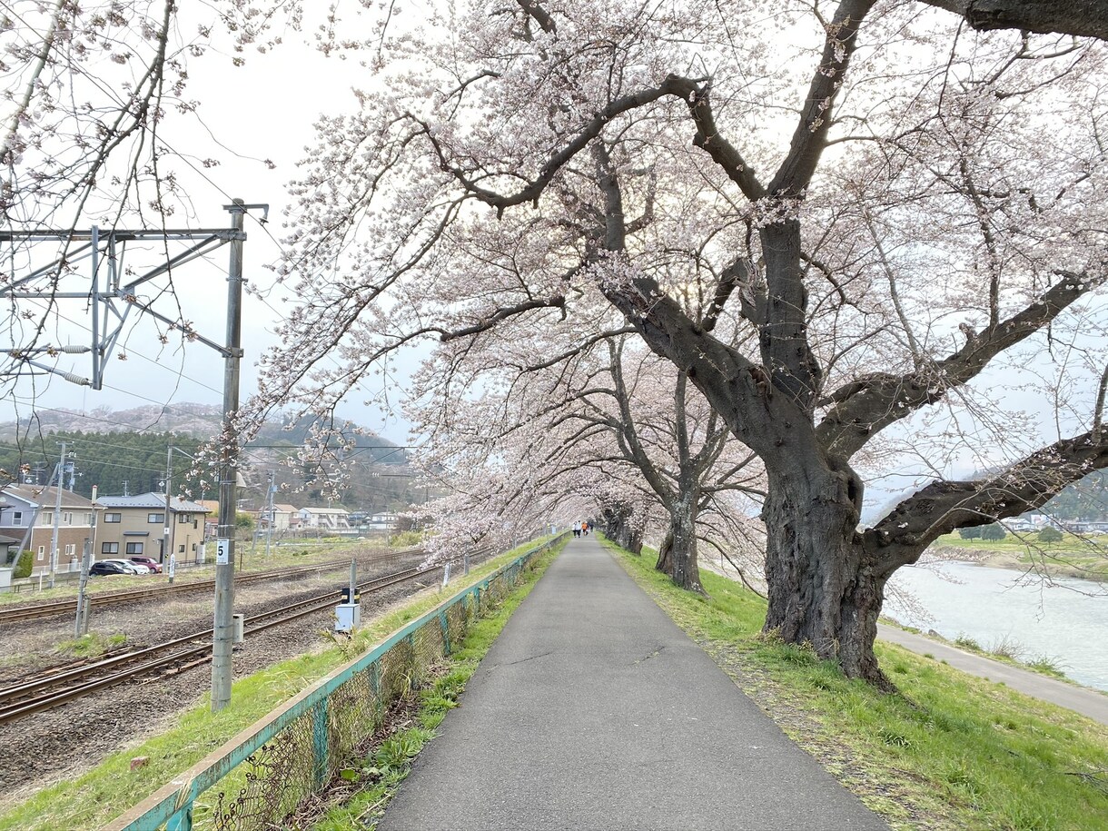 宮城県のおすすめ観光スポットをプランニングします 人生＝宮城歴のOLがどんな人とでも楽しめる提案をします。 イメージ4