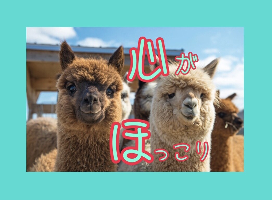 ほめほめTime♪どんな感じ？の背中を押します ✨癒しの声✨ がんばるあなたへ♪あかり✨がより添います。 イメージ1