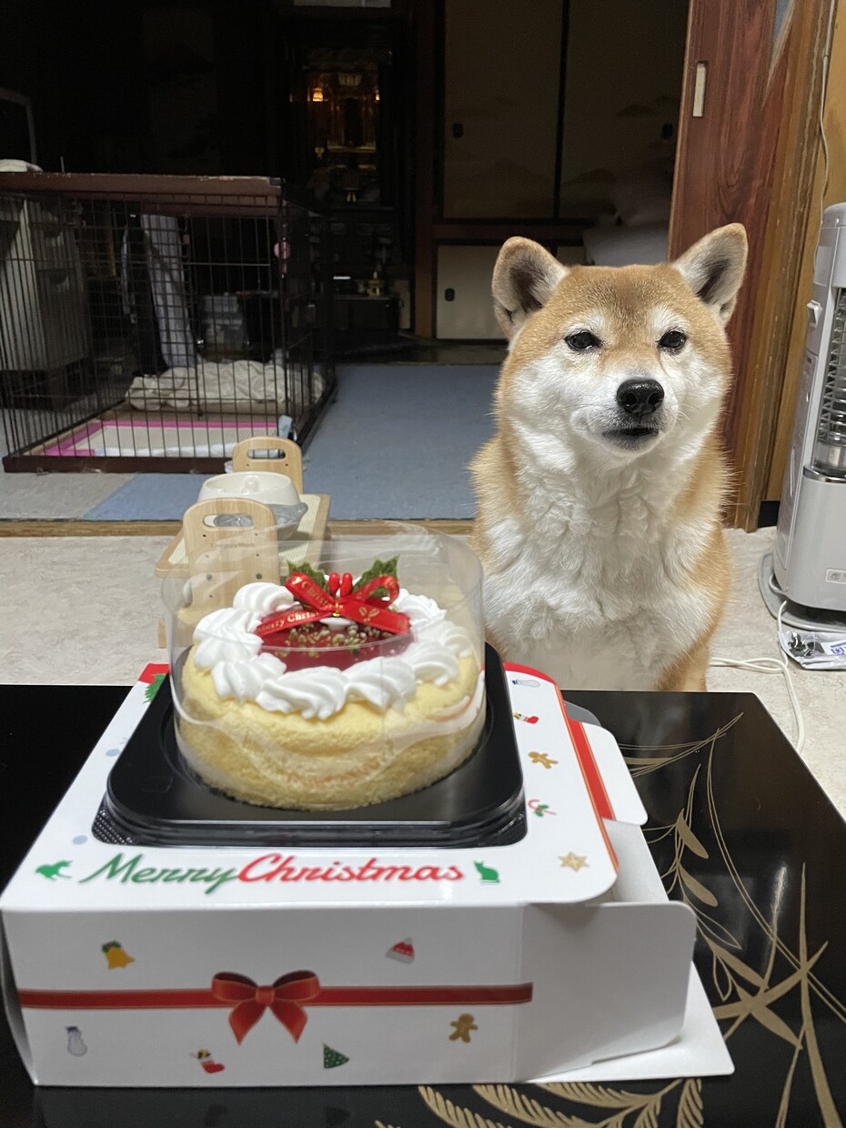 少しだけ話聞いてほしい、興味がある人話します 32年の過去をなくした人の見解に興味がある方 イメージ4