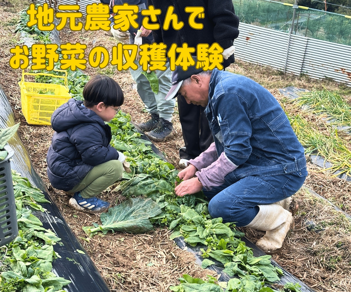 地域体験コンテンツ・イベントの企画支援します 地域資源を活かした体験を企画・提案！ イメージ3