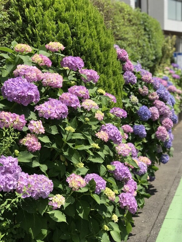 主にママさんの悩み&愚痴聞きます お子さんやママ友、旦那さんの悩みや愚痴を聞いてほしい方。 イメージ1