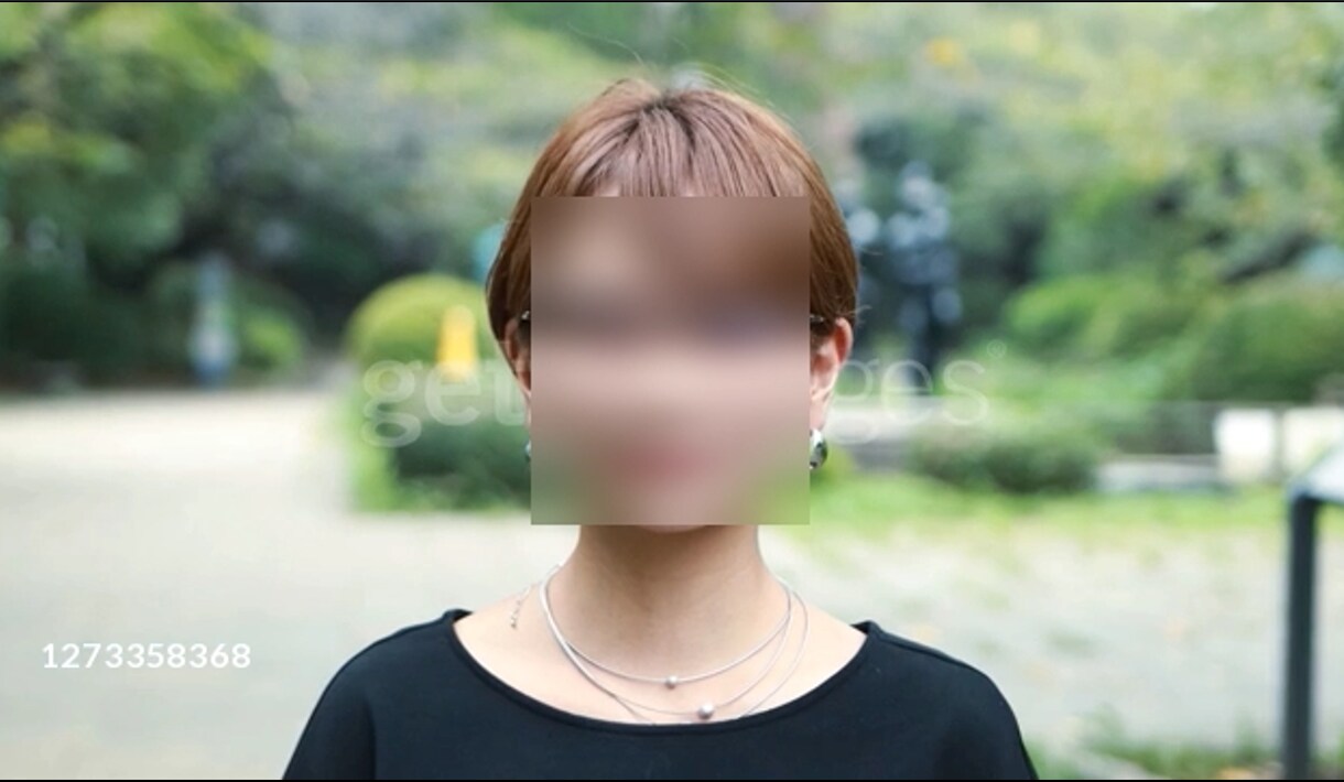 自動モザイク追加ソフトを販売します 簡単に顔にモザイクを入れます。 イメージ1