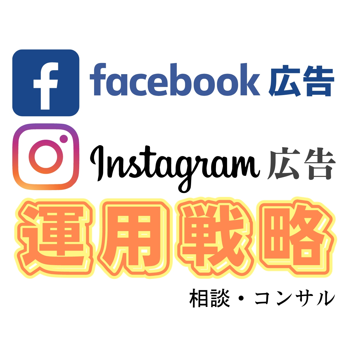 FB広告運用コンサル【プロが全力アドバイス】します 【Facebook広告の相談】売上コミットの改善・戦略立案 イメージ1