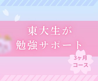 3ヶ月！東大・塾講師が勉強計画を徹底サポートします 学習計画のアップデート、質問回答、メンタルサポート イメージ1