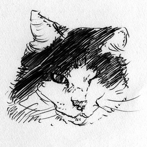 ペットの肖像画描きます（ボールペン画） イメージ3