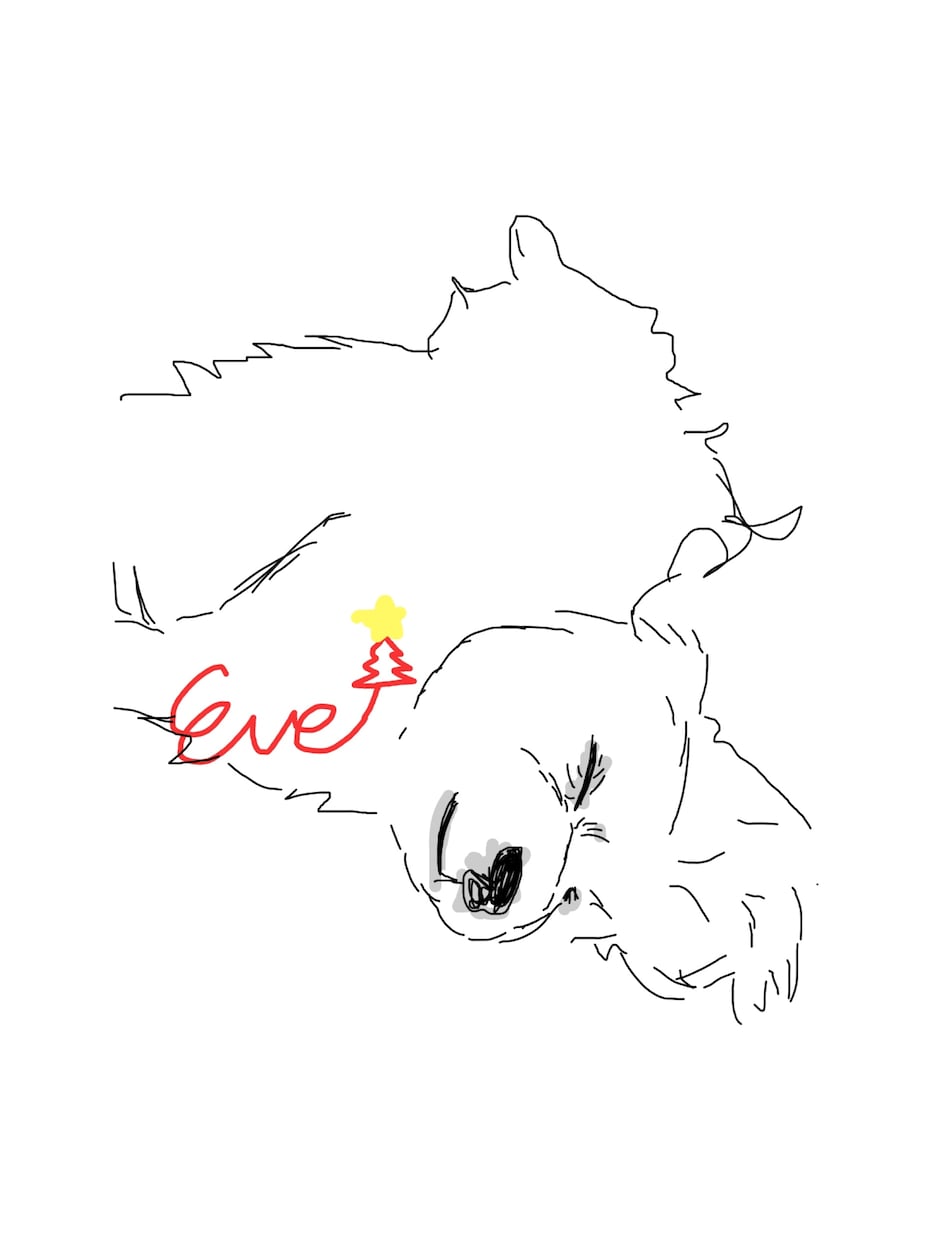 ペットの絵を5枚描きます 大事なペットの思い出を残しましょう！お手伝いさせてください！ イメージ8