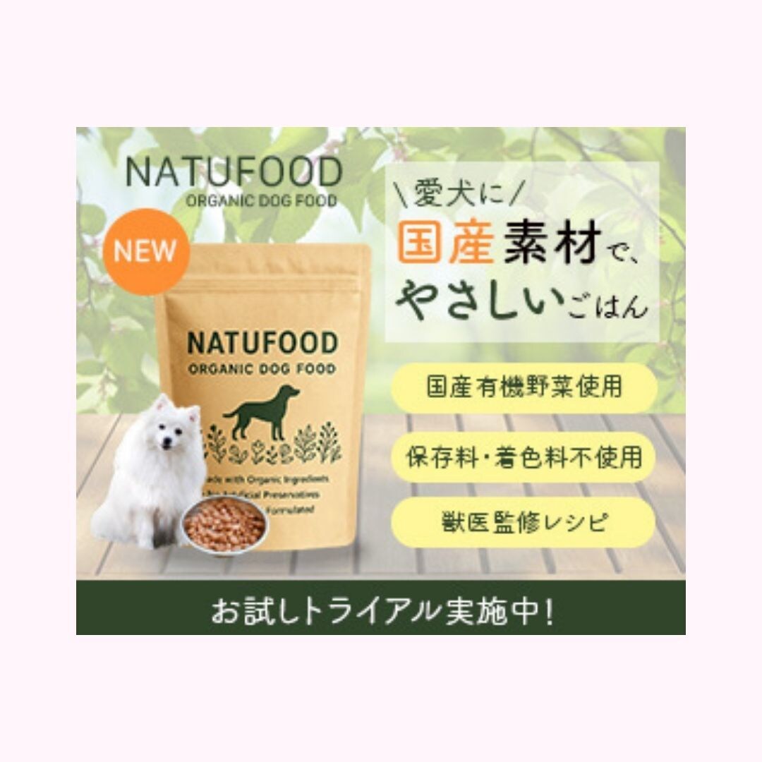 インスタ投稿画像・各種バナー作成します オールジャンル対応。低価格でお客様の要望に沿いお作りします！ イメージ3
