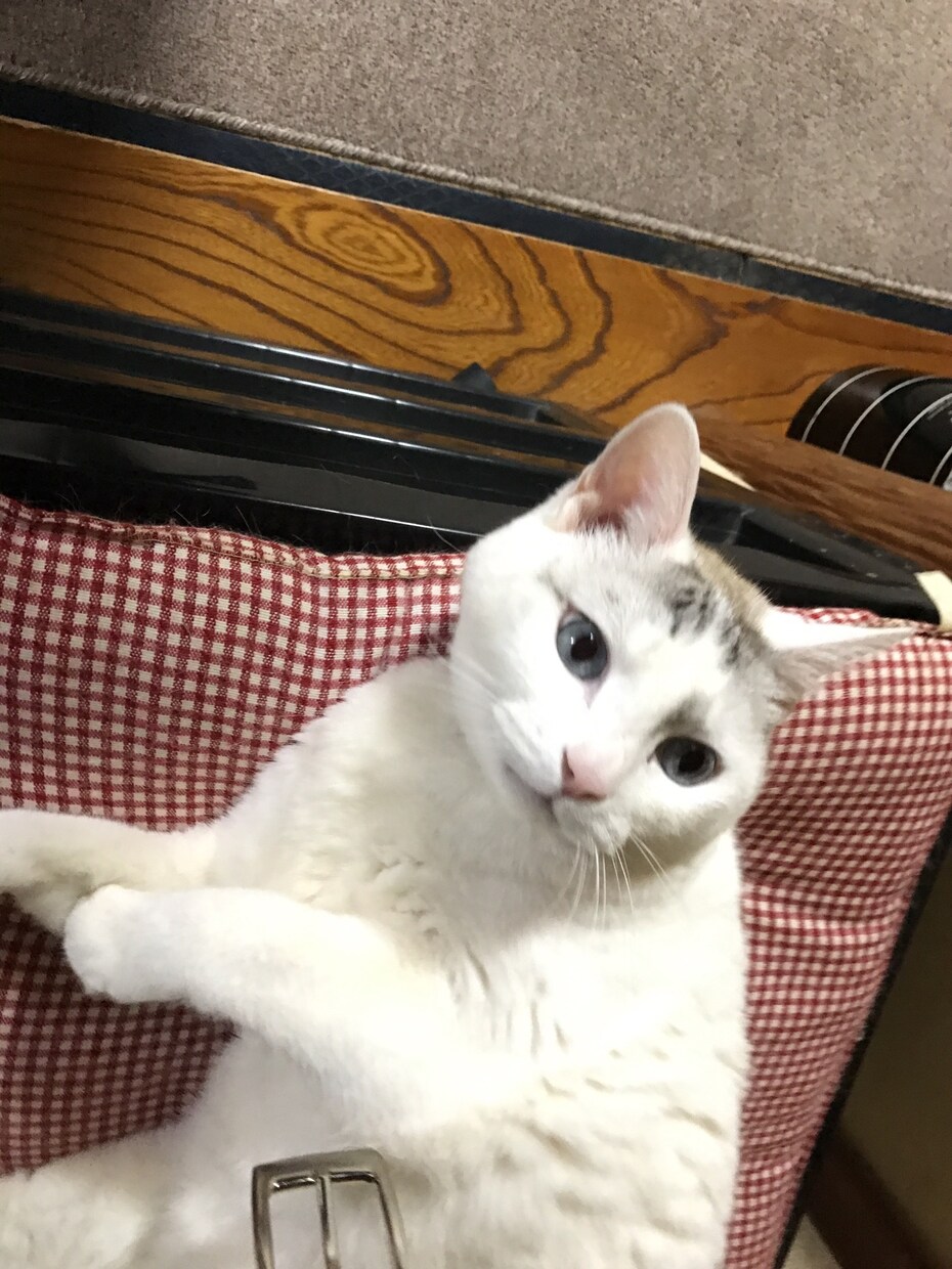 労働でお困りのことなら、 社労士が相談にのります 労働相談ならお任せ下さい！社会保険の相談も承ります。 イメージ1