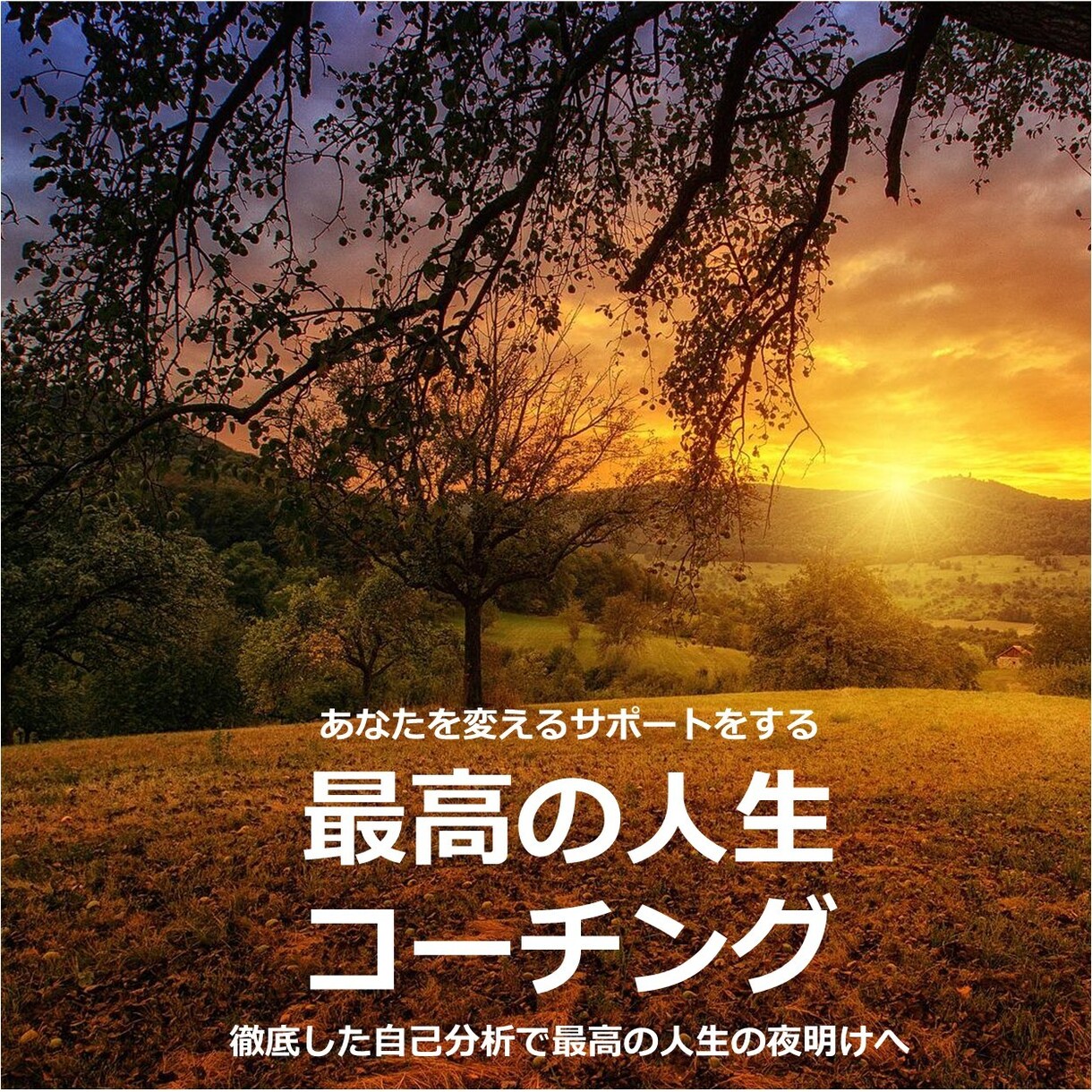 あなたの人生が変わります コーチングこそ最高の人生コンサルです。 イメージ1