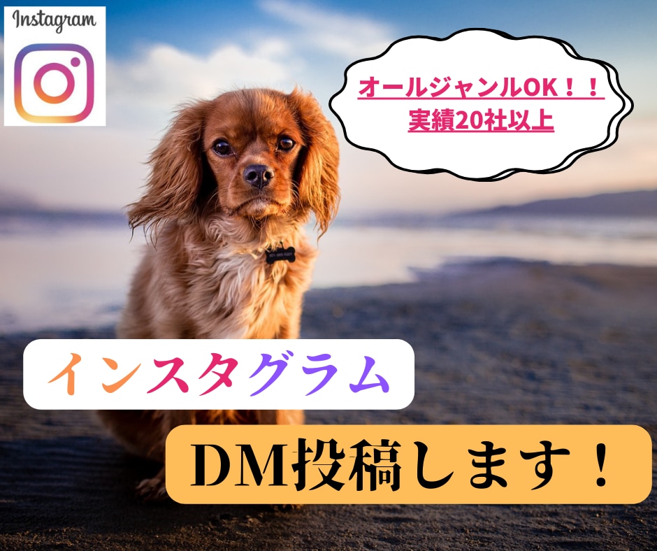 インスタグラムにて熟練者が毎日DM営業します オールジャンルOK！ご希望のユーザーにDMをお送りします イメージ1
