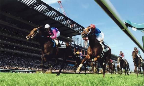馬連4頭BOX(6通り)で予想をご提案します あなたの競馬ライフをより良い物に… イメージ1
