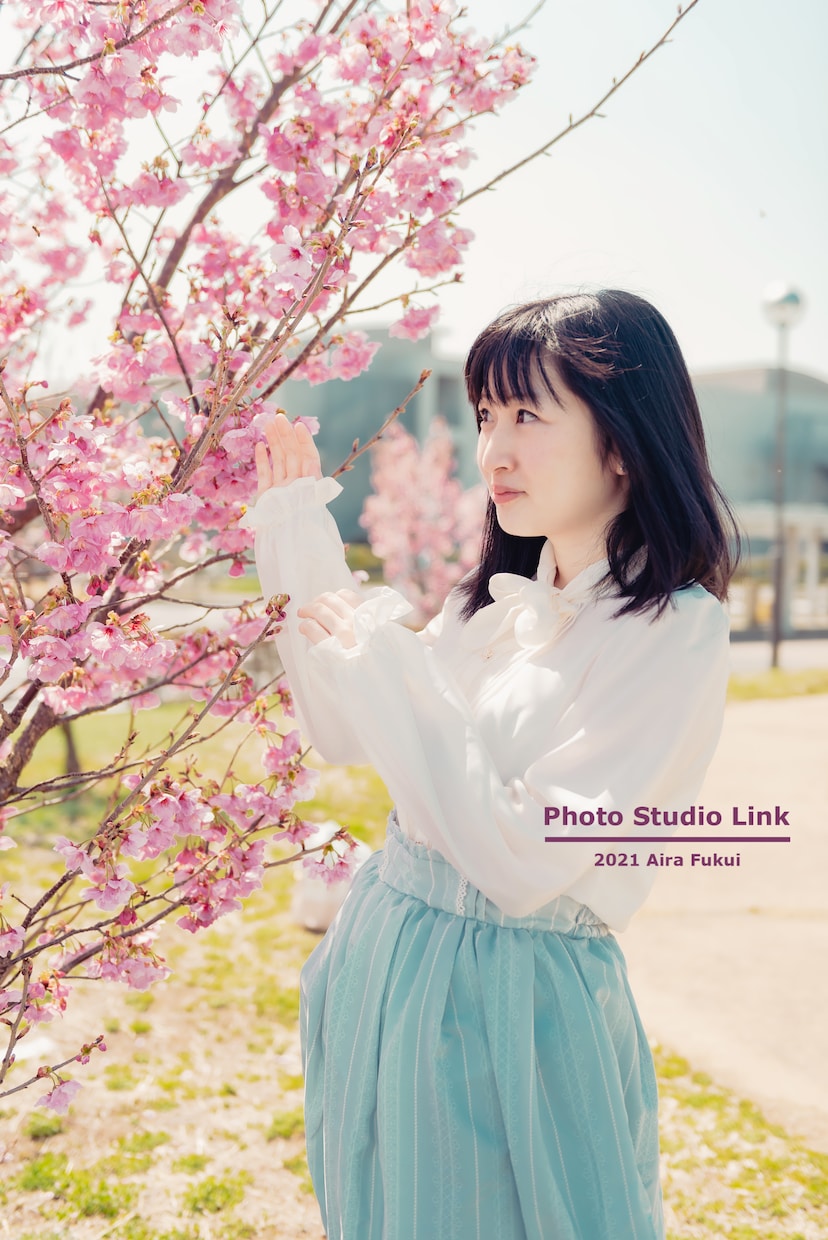 出張撮影承ります あなたの代わりに出張します必要な写真データをお送りします！ イメージ7