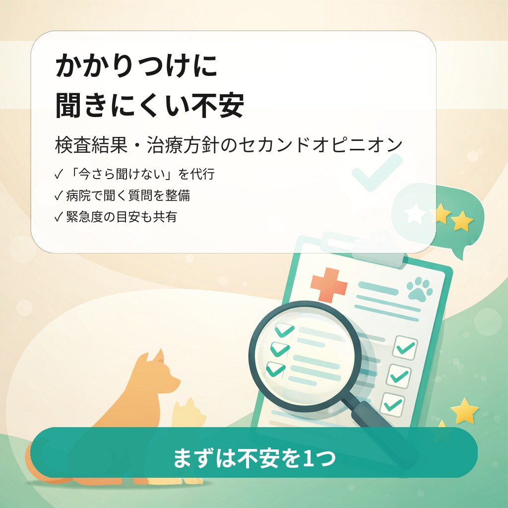 獣医師が検査結果・治療方針を見直します かかりつけで聞きにくい疑問を整理します イメージ1