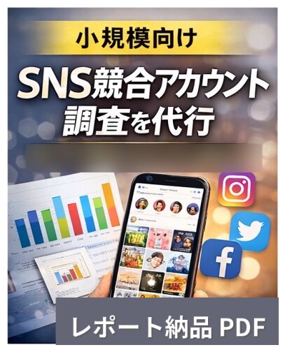 小規模向けSNS競合アカウント事例調査を代行します SNS運用事例を分かりやすく整理、比較 イメージ1