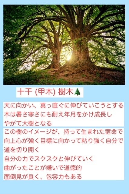 帝王学、陰陽五行論を使用して宿命鑑定を行います 人生の道しるべとなるサポートを提供しています。 イメージ3