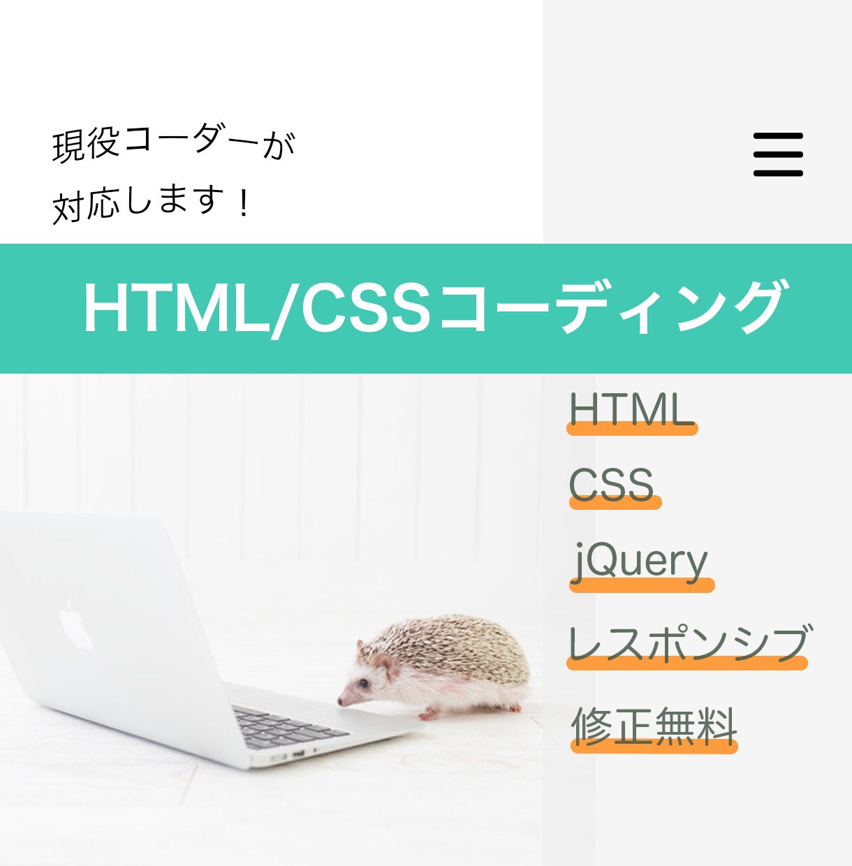 現役コーダーがHTML/CSSコーディング致します 丁寧なコーディングをさせていただきます。 イメージ1