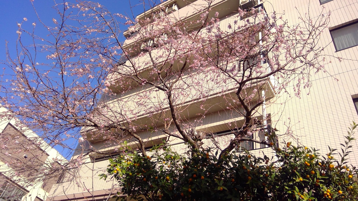 東工大・筑波大合格　東大卒　成果が見える指導します 中学生・高校生・浪人生のハイレベルな個別受験指導　実績多数 イメージ1