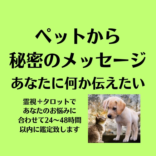 愛するペットからの言葉をお伝えします ペットがあなたに想いを伝える時を待っています。 イメージ1