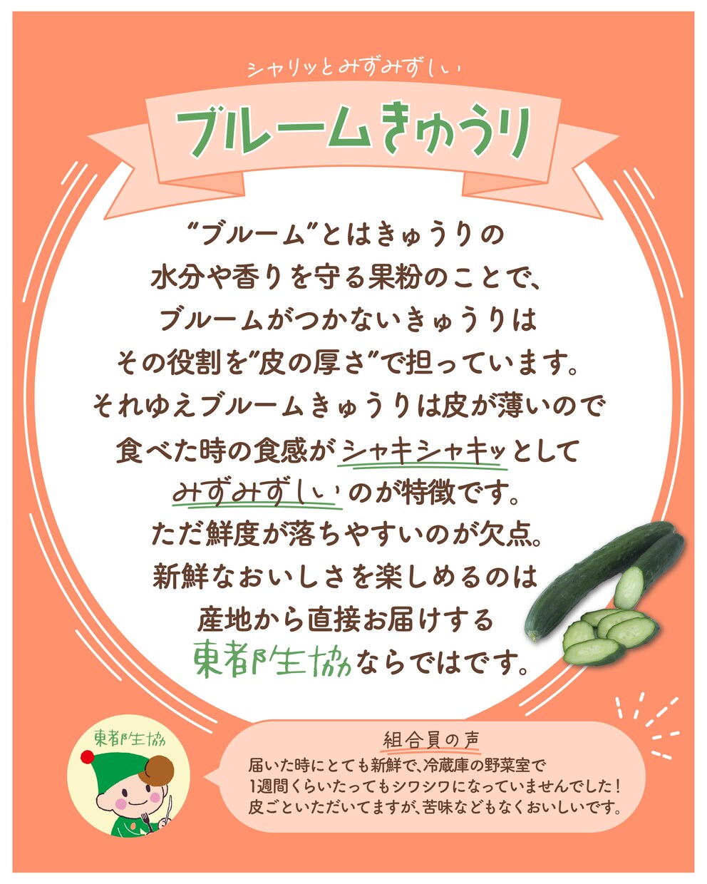 女性向け＊Instagramの投稿画像つくります あなたのアカウントに寄り添って、もっと伝わる投稿に！ イメージ6