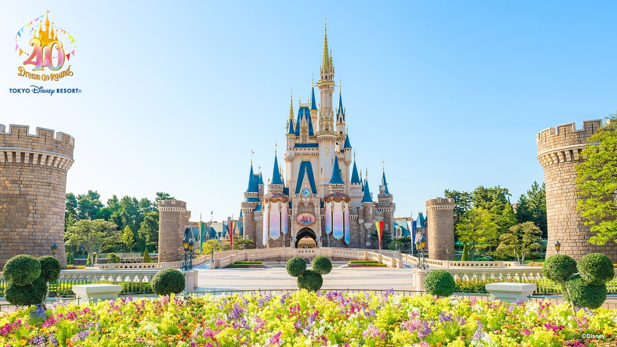 現役キャストがディズニープラン作成をします 最高の思い出をディズニーリゾートで！ イメージ1