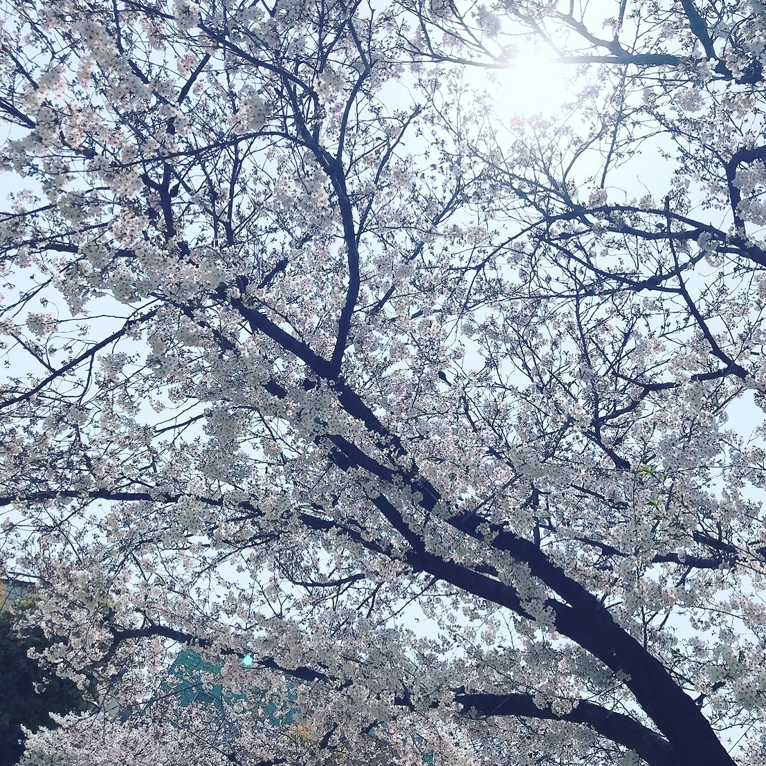 人生、子育て、恋愛相談のります 私が相談のります。人は1人ぢゃありません。 イメージ1
