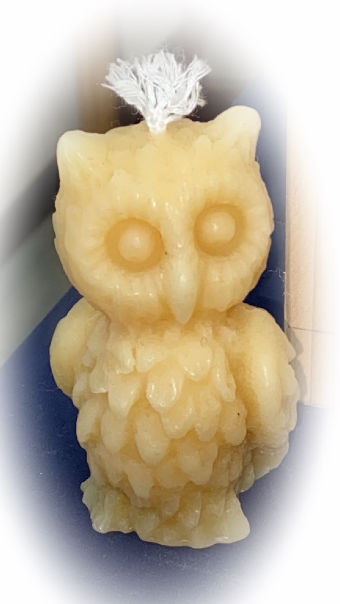 鑑定、はちみつ魔術させていただきます はちみつで心も体も愛し合ってください＾＾ イメージ4