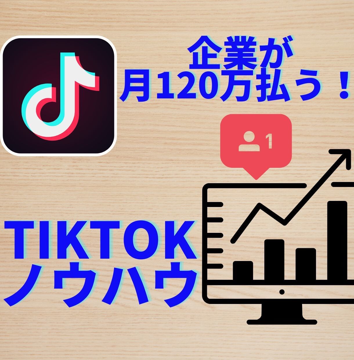 TikTokでビジネスをバズらせる本 最新情報 - その他