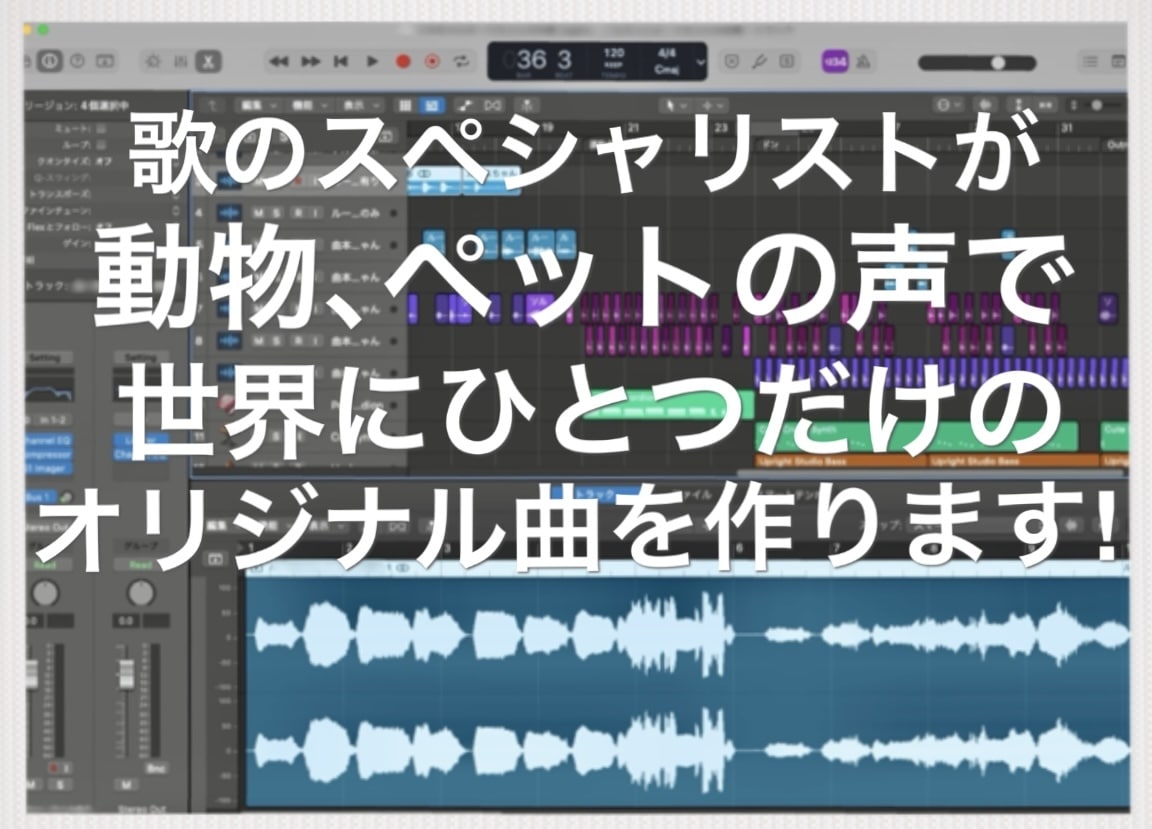 動物の声で世界に1つのオリジナルソングを作ります あなたのワンちゃん猫ちゃん鳥さんが 歌手デビュー !? イメージ1